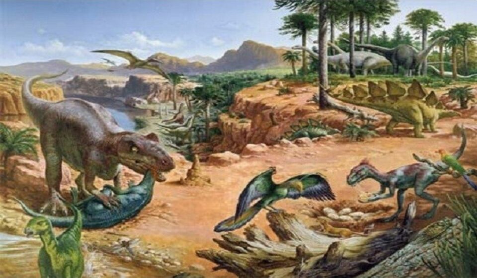 l’ambiente del mesozoico 04