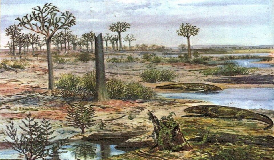 l’ambiente del mesozoico 05