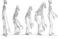 LE ORIGINI DEGLI ANTROPOIDI
