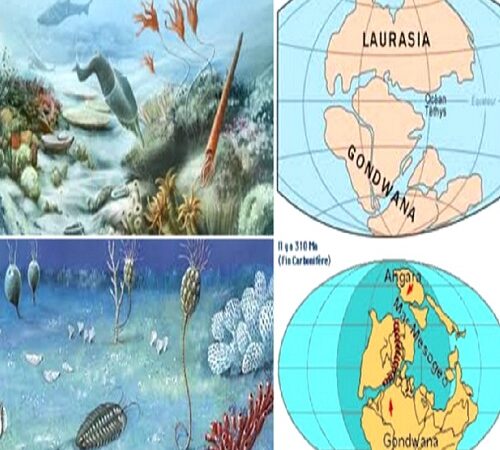 gli eventi geologici del periodo paleozoico.