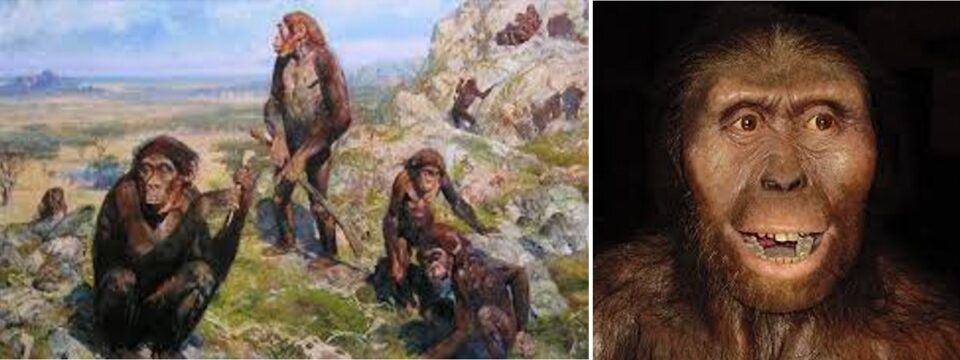 le caratteristiche dell’australopiteco 01